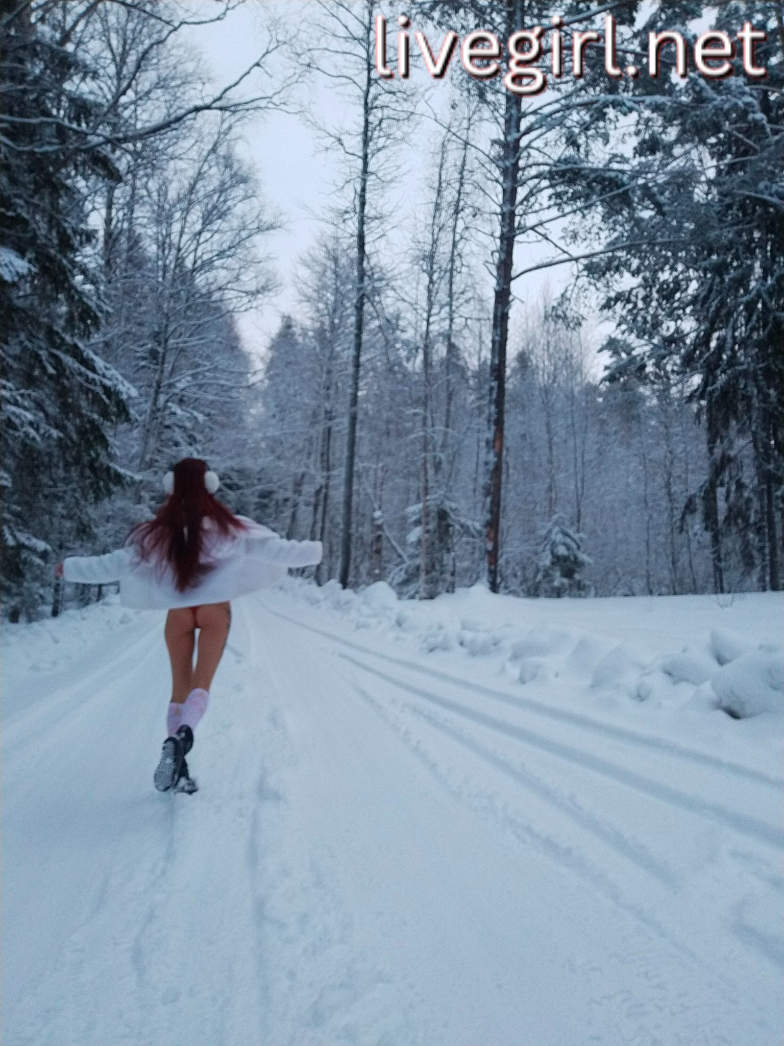 Collection - sandychris