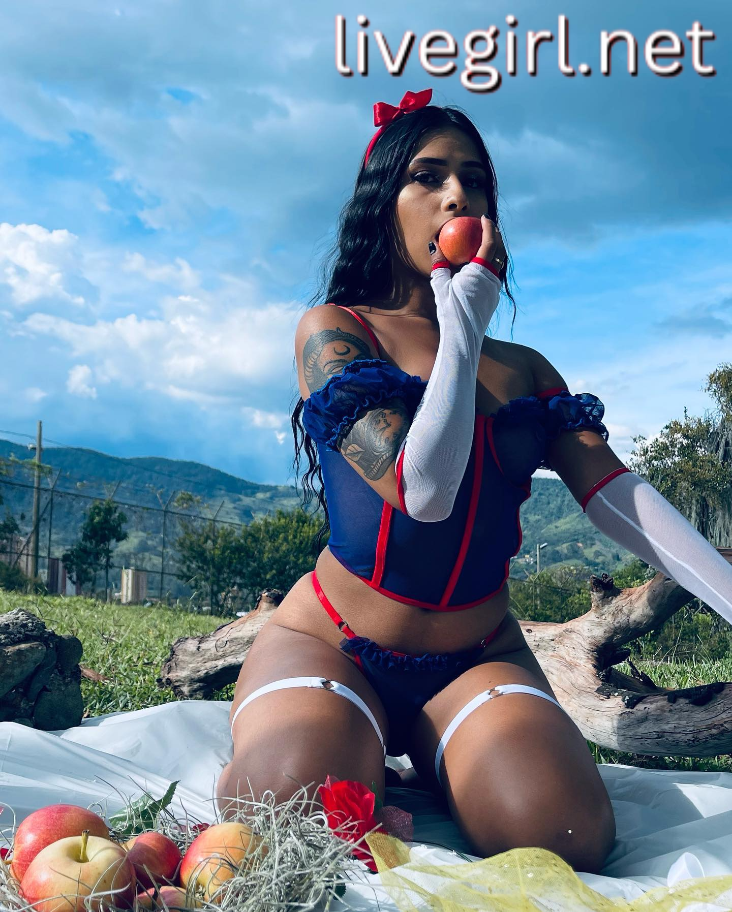 Collection - miatowson