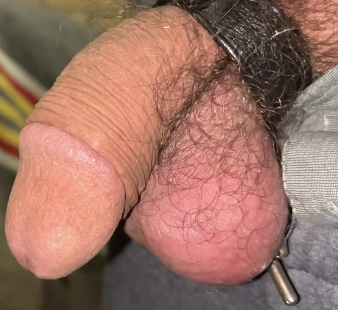 2024 Would you like to see my cock ?