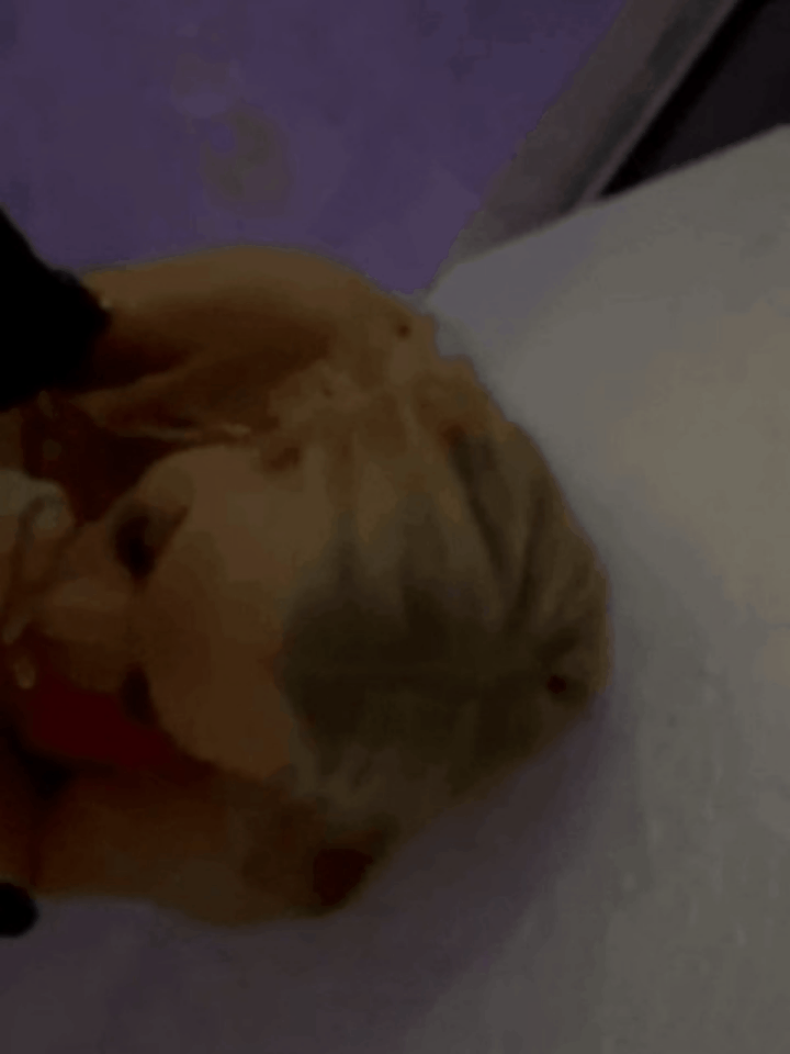 The Unknown Gif Collection 32