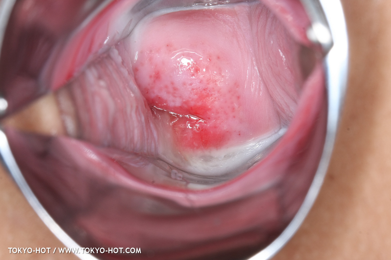 JPN_Tokyo_Hot_N1199_!shiho_h@r@d@