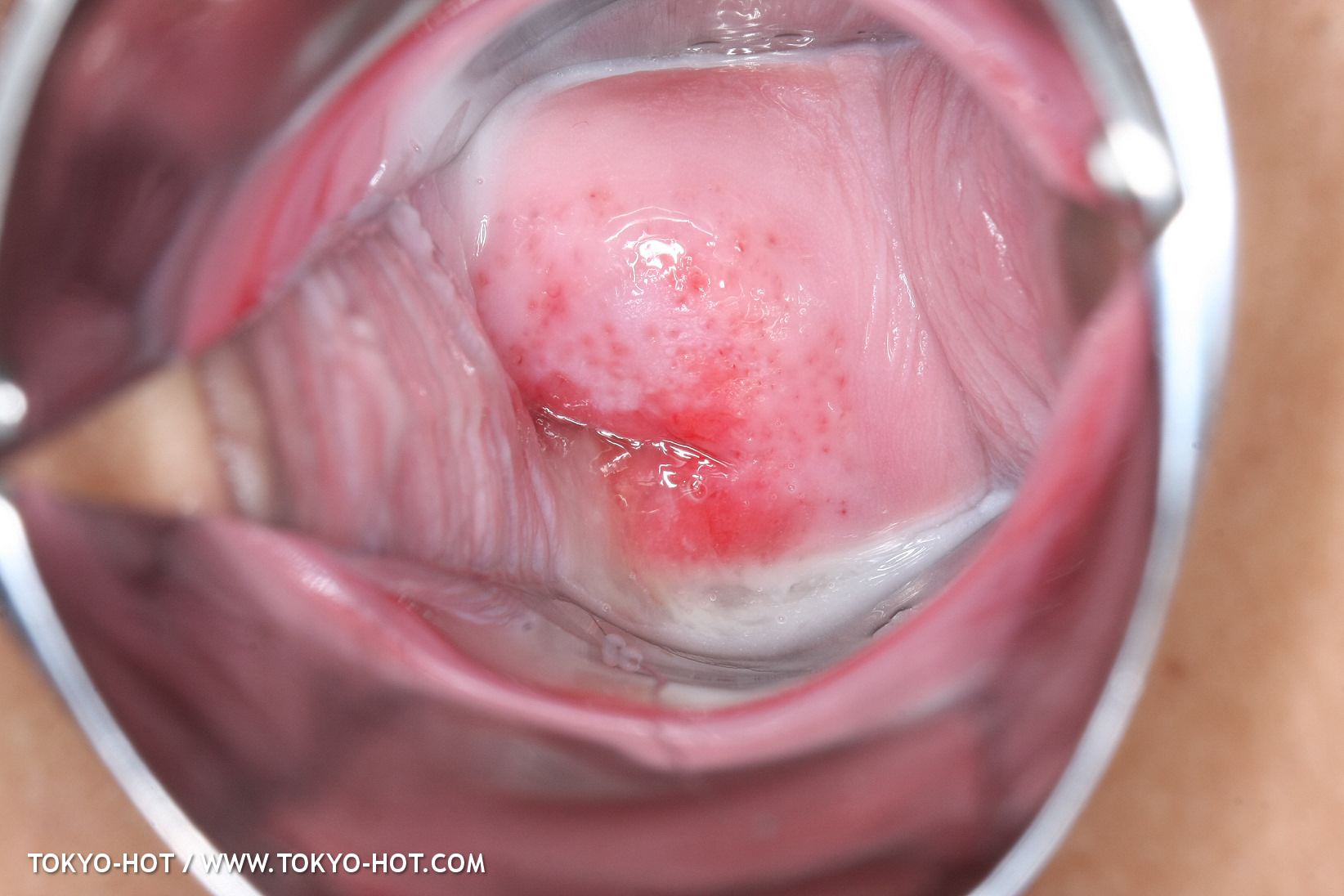 JPN_Tokyo_Hot_N1199_!shiho_h@r@d@