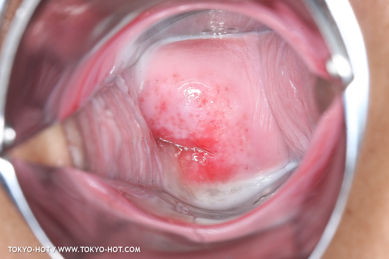 JPN_Tokyo_Hot_N1199_!shiho_h@r@d@