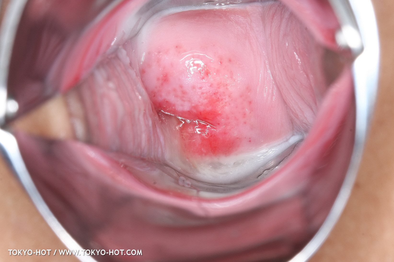 JPN_Tokyo_Hot_N1199_!shiho_h@r@d@