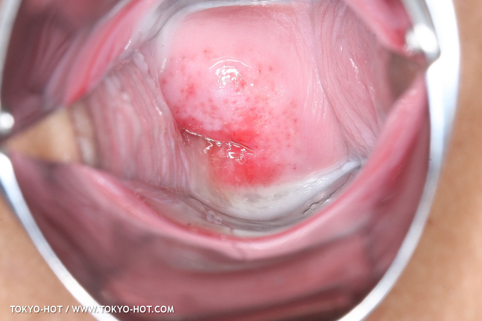 JPN_Tokyo_Hot_N1199_!shiho_h@r@d@