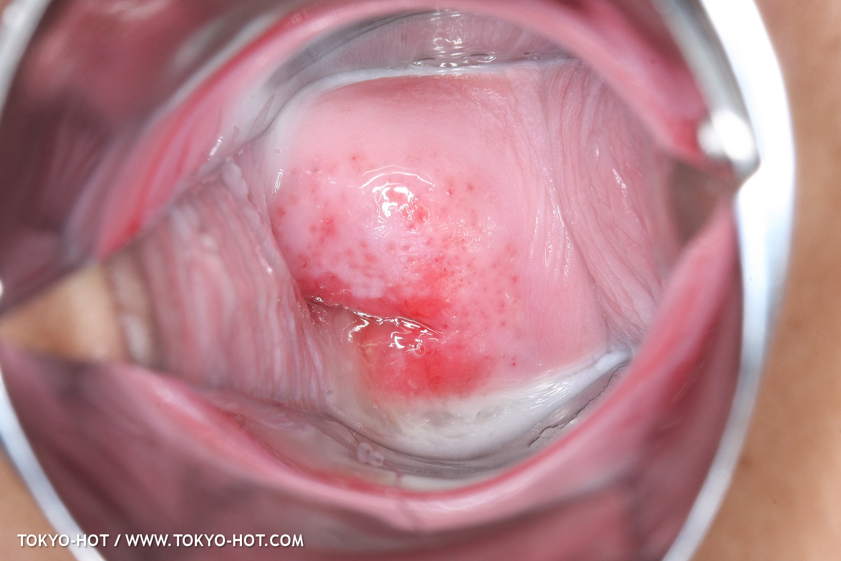 JPN_Tokyo_Hot_N1199_!shiho_h@r@d@