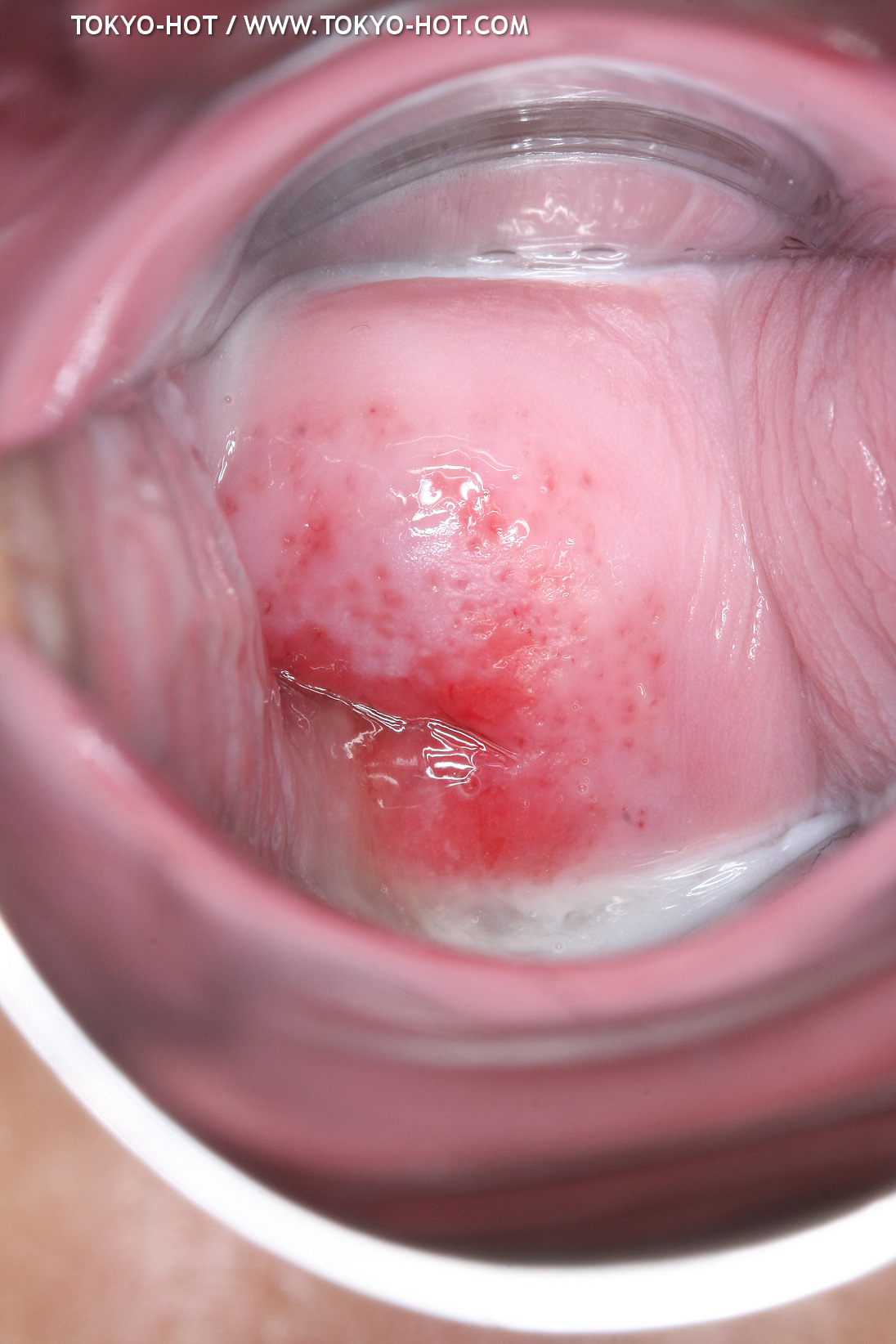 JPN_Tokyo_Hot_N1199_!shiho_h@r@d@