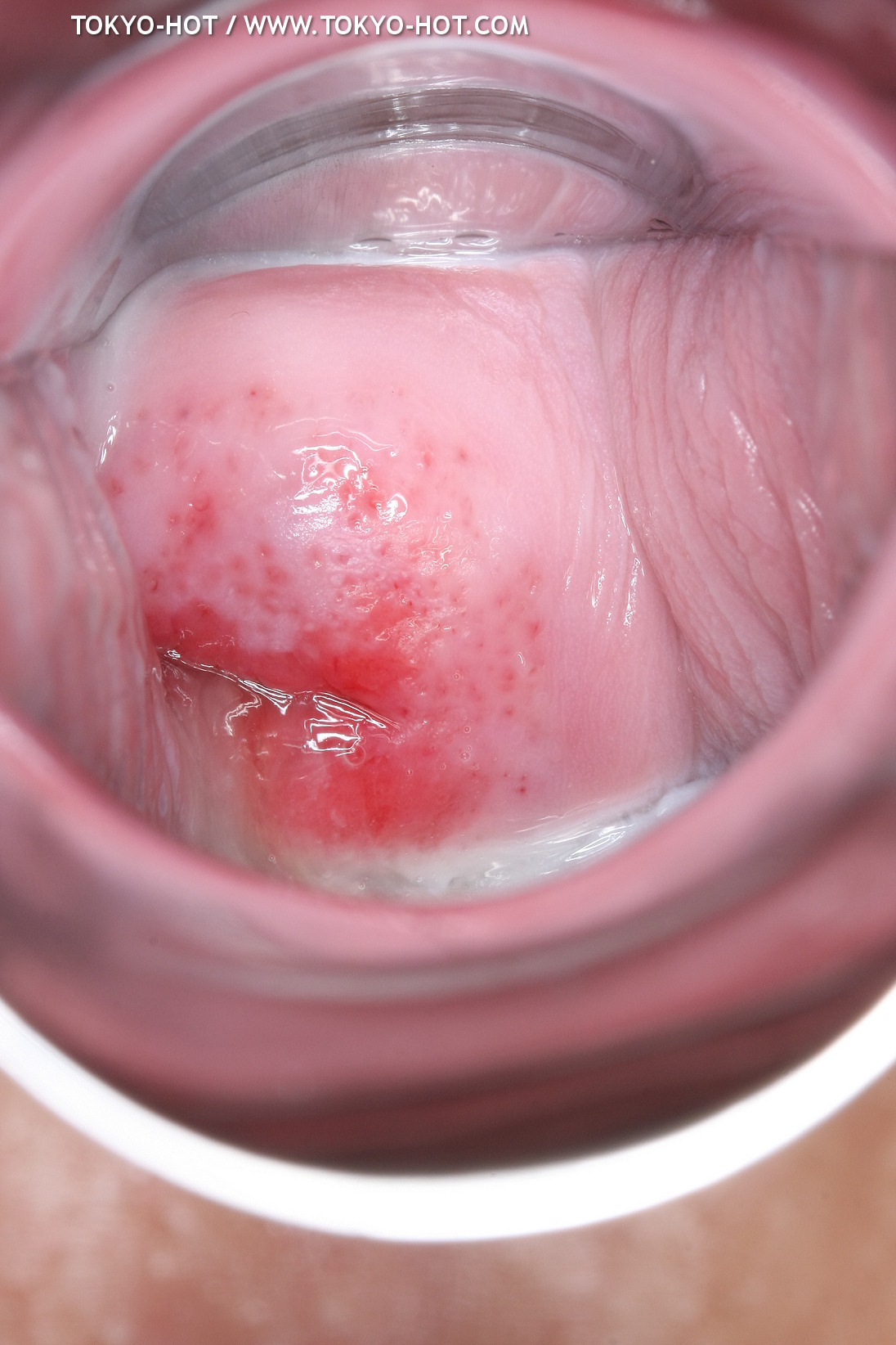 JPN_Tokyo_Hot_N1199_!shiho_h@r@d@