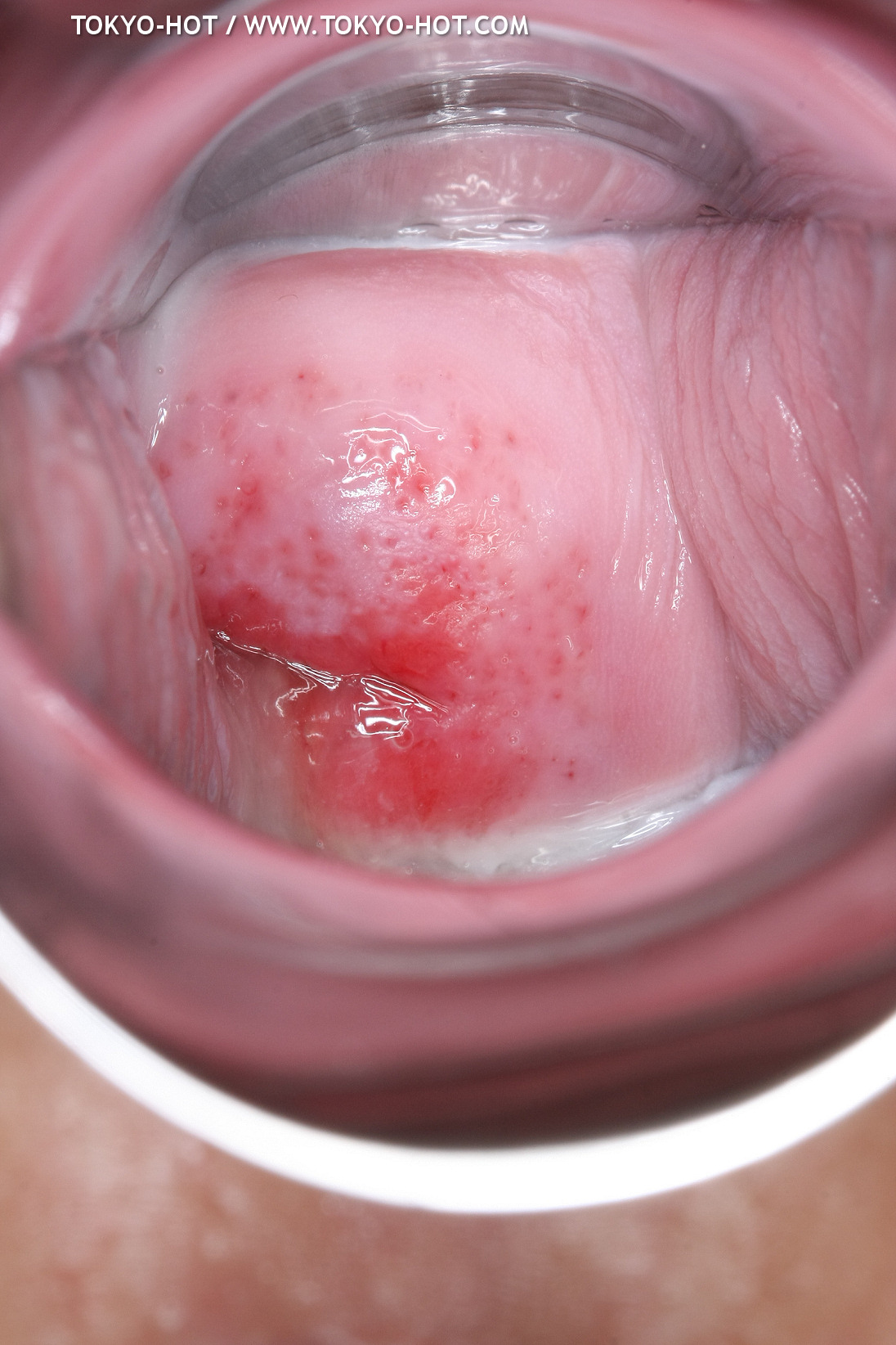 JPN_Tokyo_Hot_N1199_!shiho_h@r@d@