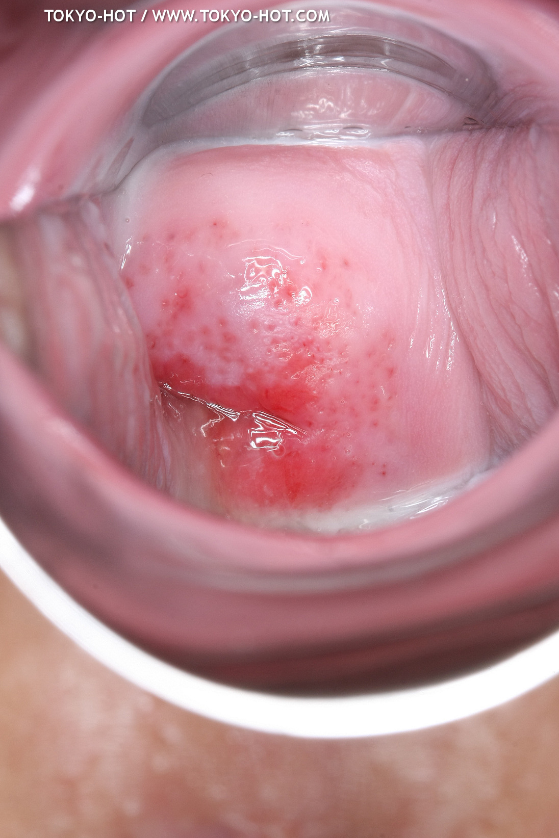 JPN_Tokyo_Hot_N1199_!shiho_h@r@d@