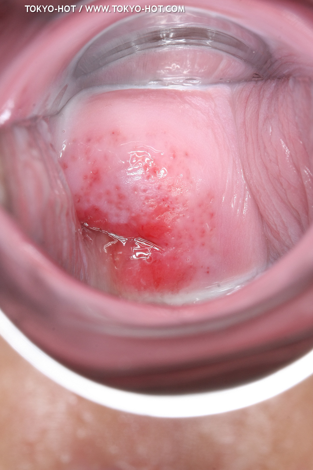 JPN_Tokyo_Hot_N1199_!shiho_h@r@d@