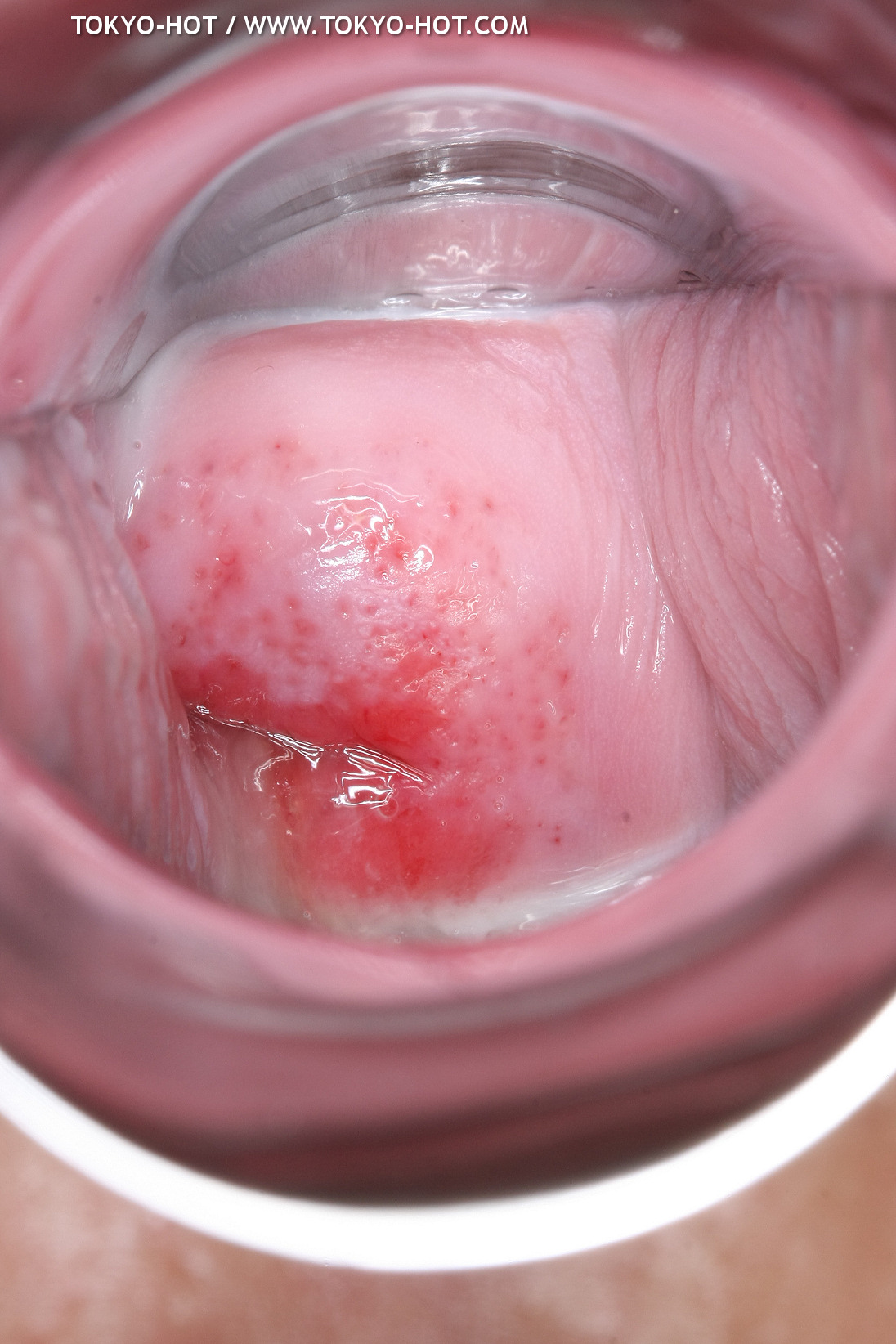 JPN_Tokyo_Hot_N1199_!shiho_h@r@d@