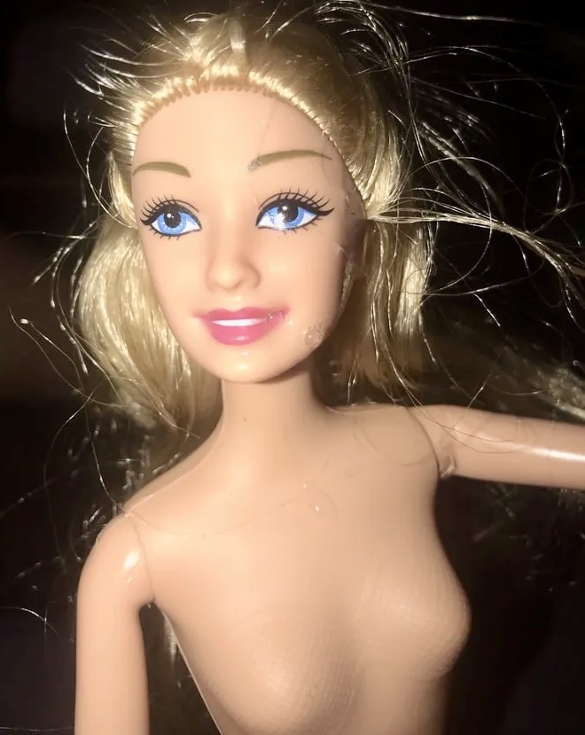2020 a new princess doll
