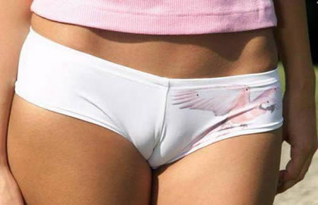 camel toes