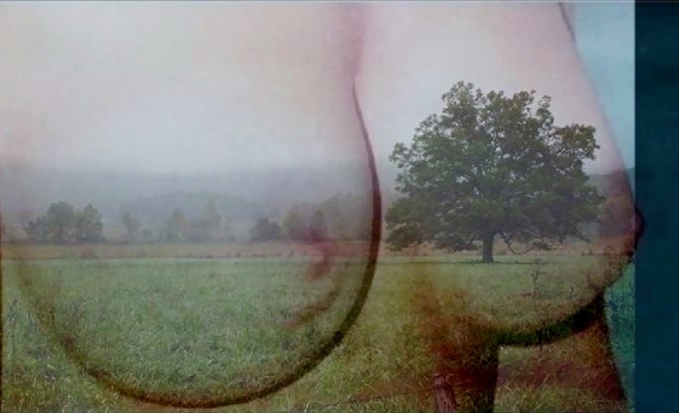 shirley bellmore nude