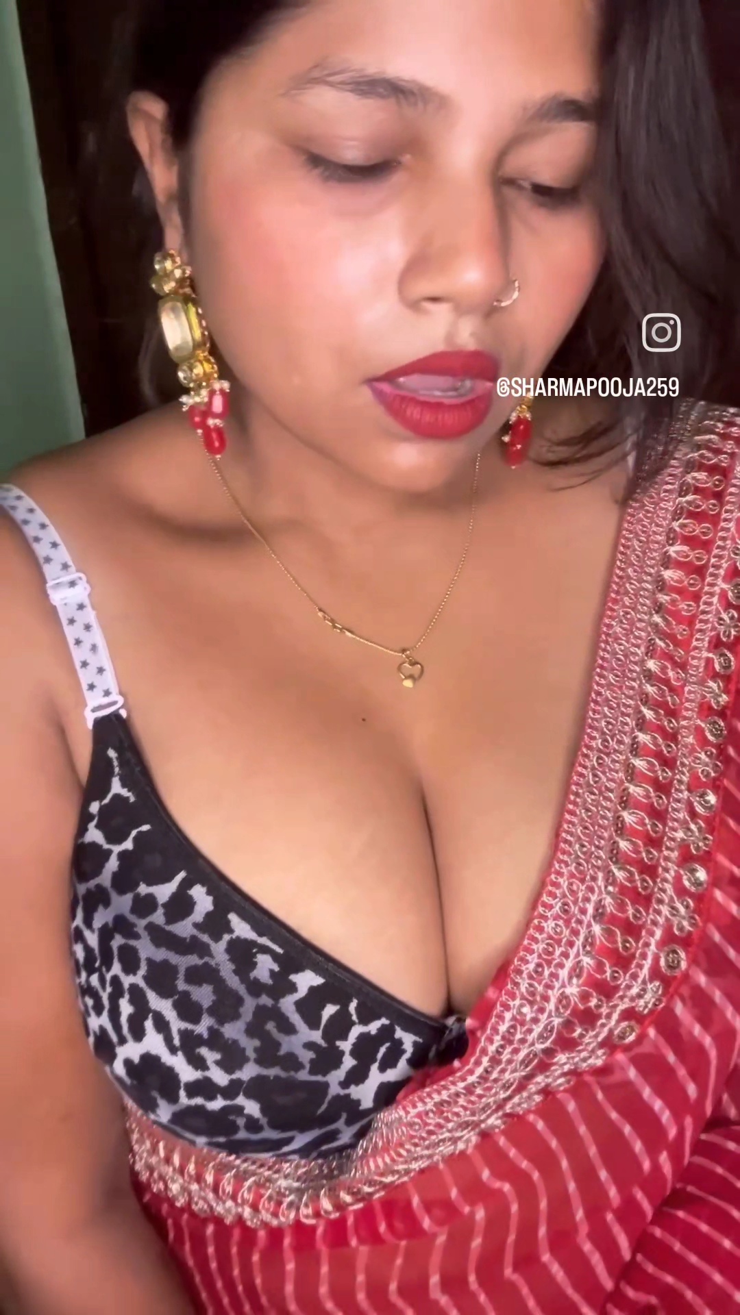 Pooja Bhabhi Collection