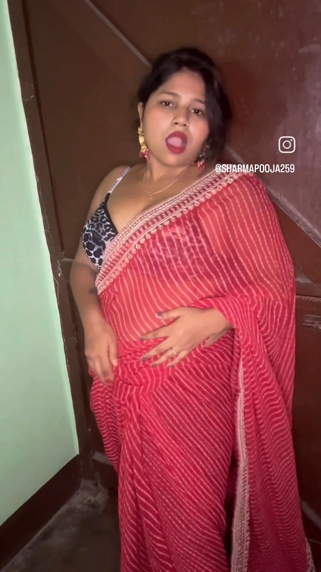 Pooja Bhabhi Collection