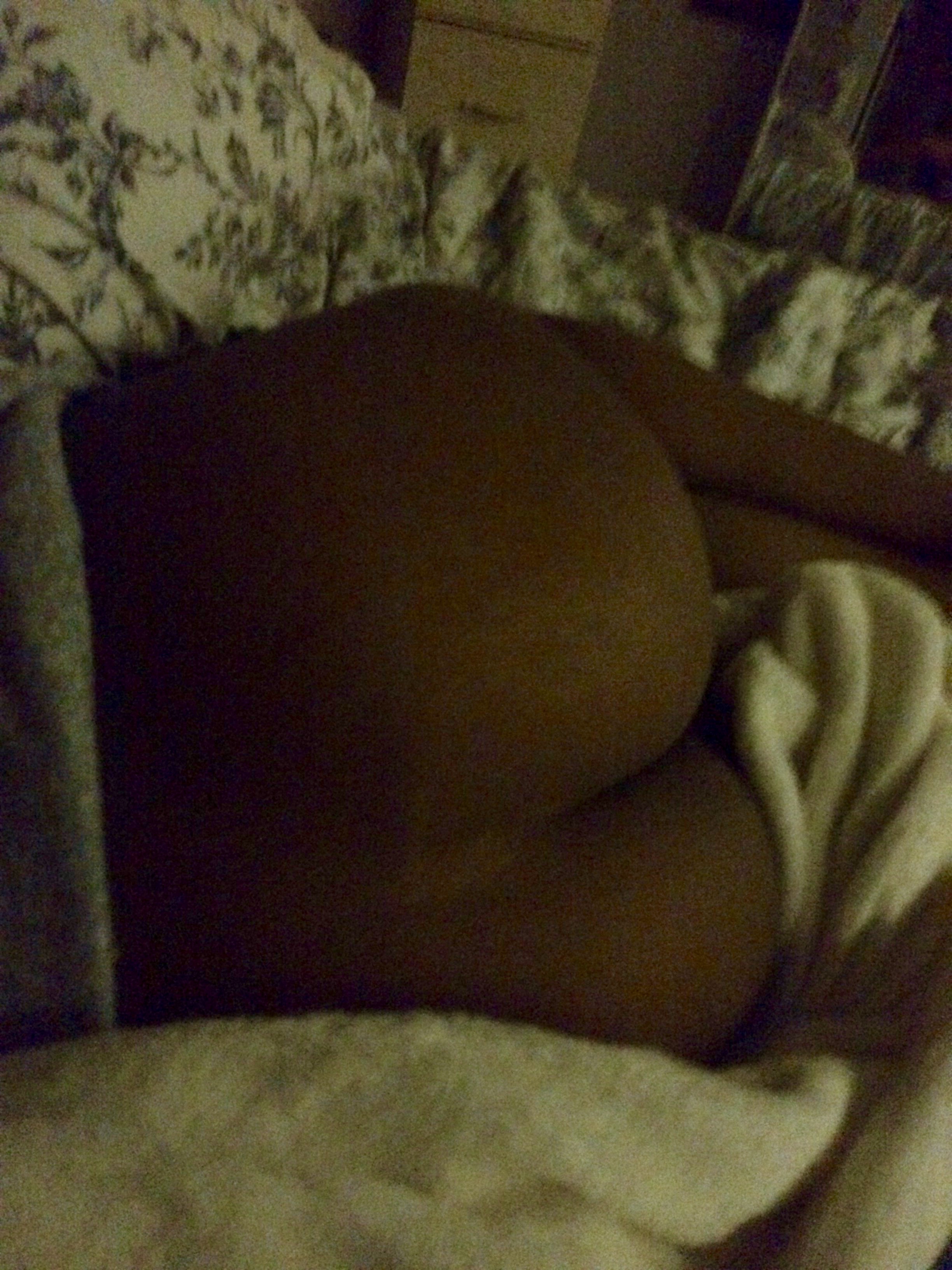 Personal Collection of random hookups. 100% real content