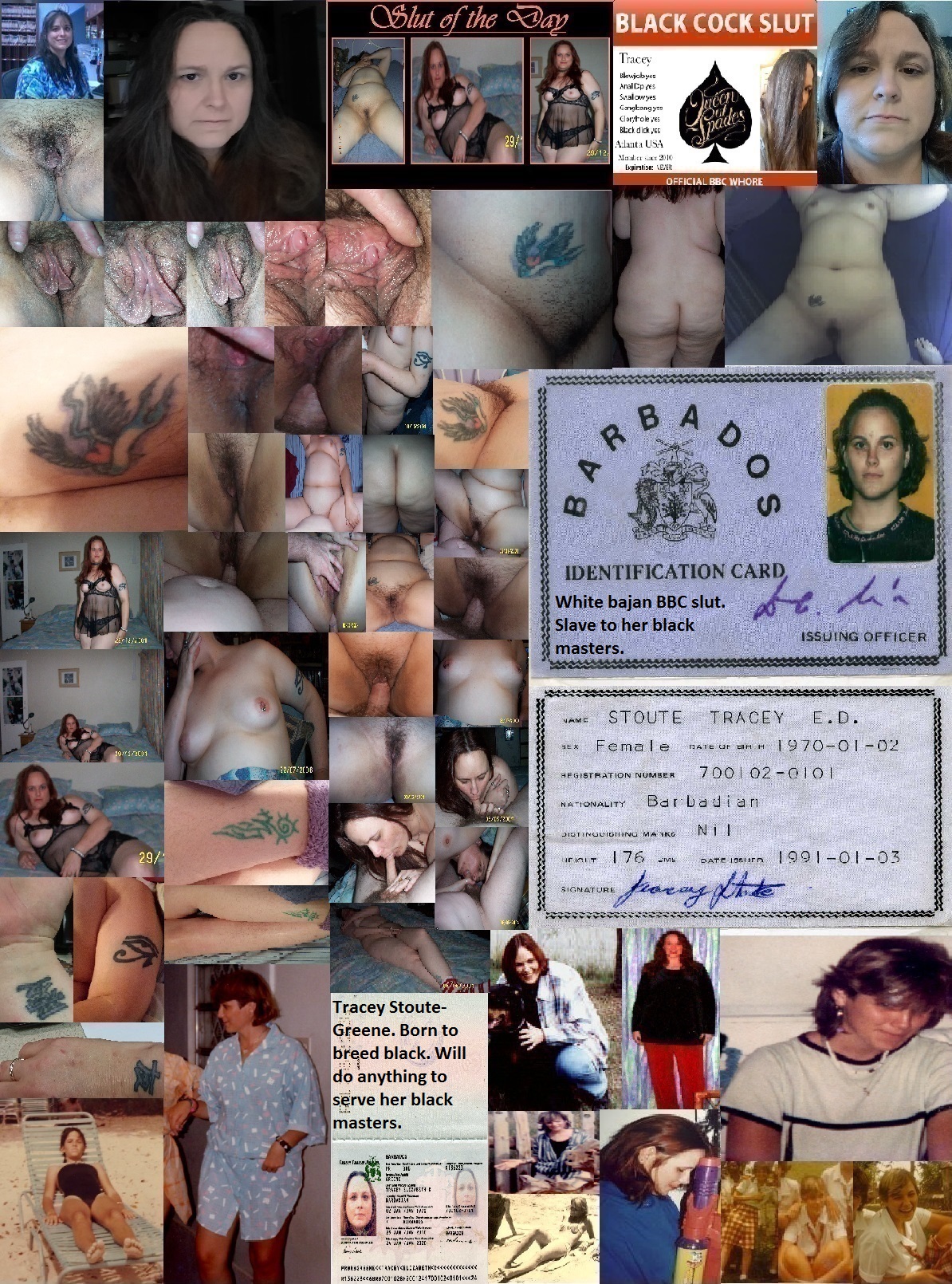 Tracey Stoute-Greene