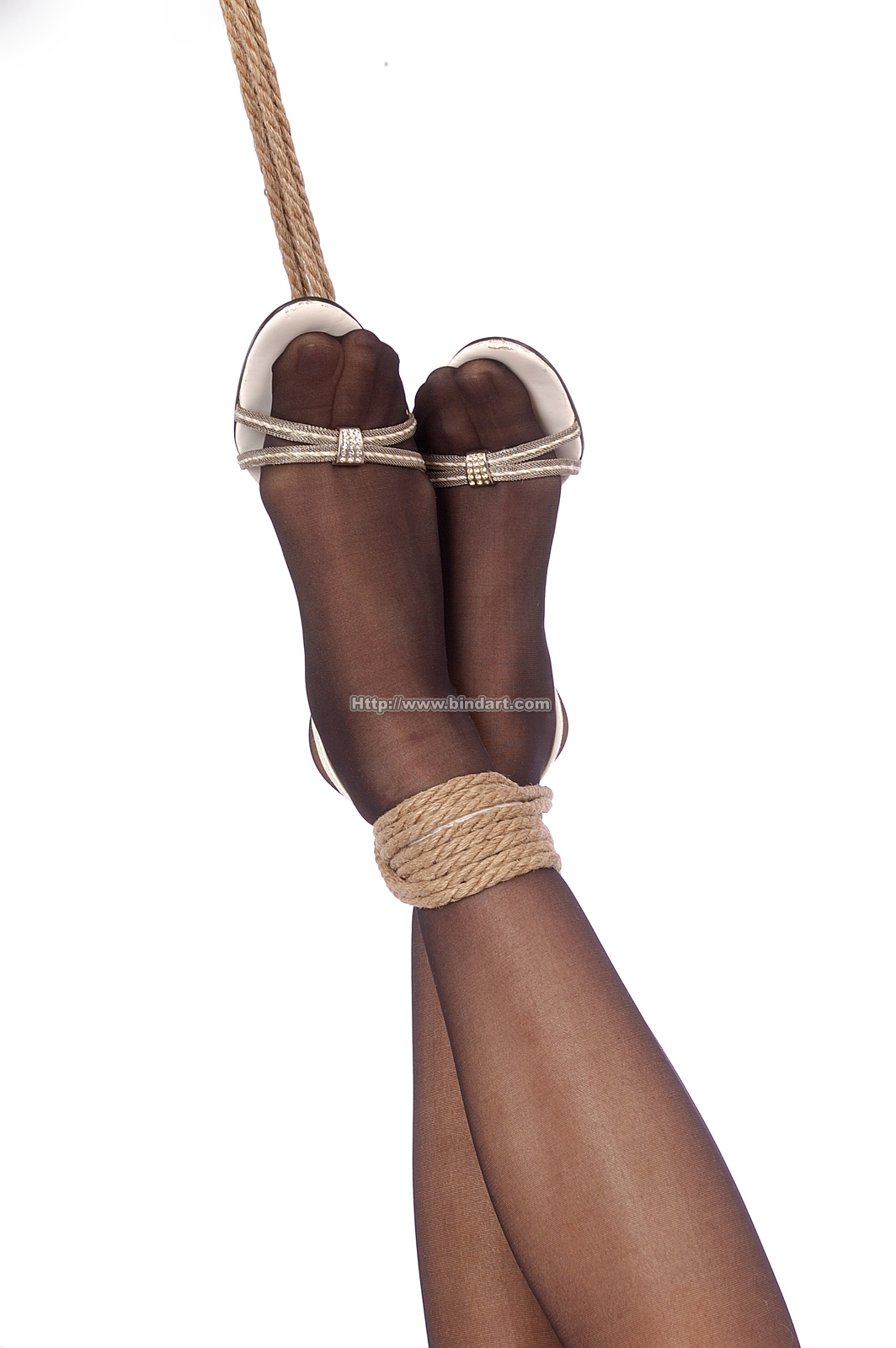 Chinese lady bondage 367