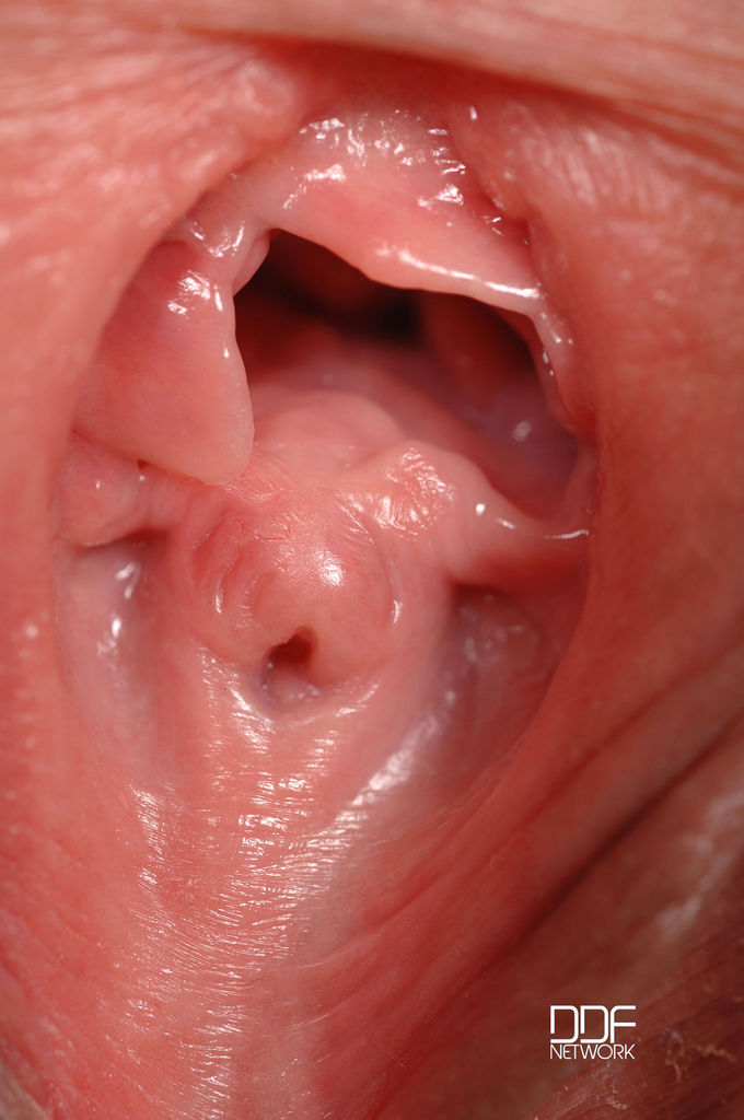 The most beautiful vaginas