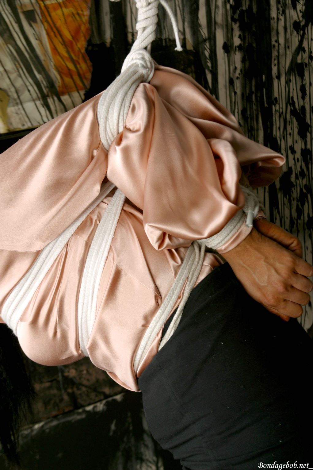 Tied Sexy Beauties 220-2