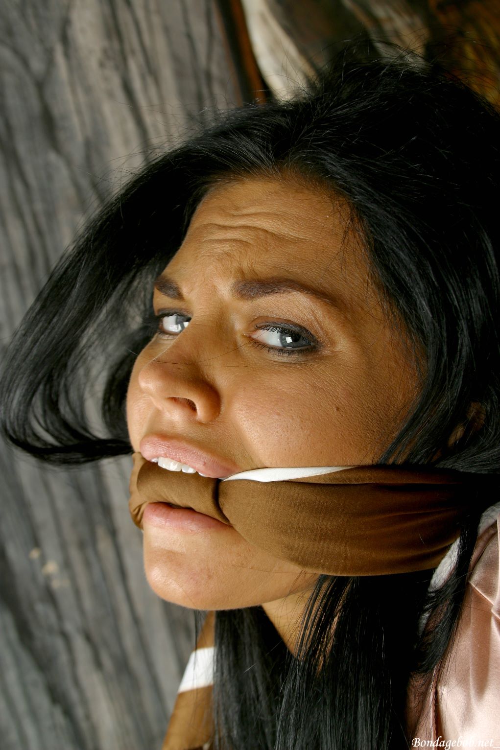 Tied Sexy Beauties 220-2