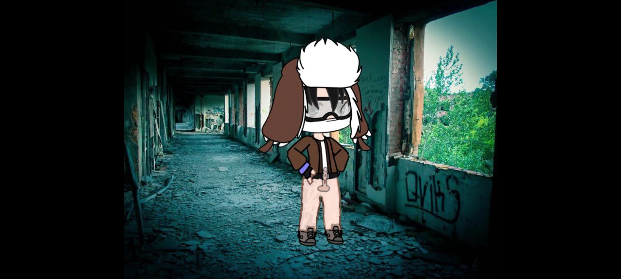 Моя первая работа