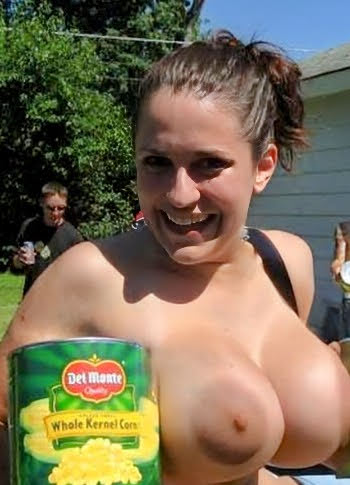 Mchenry County Illinois