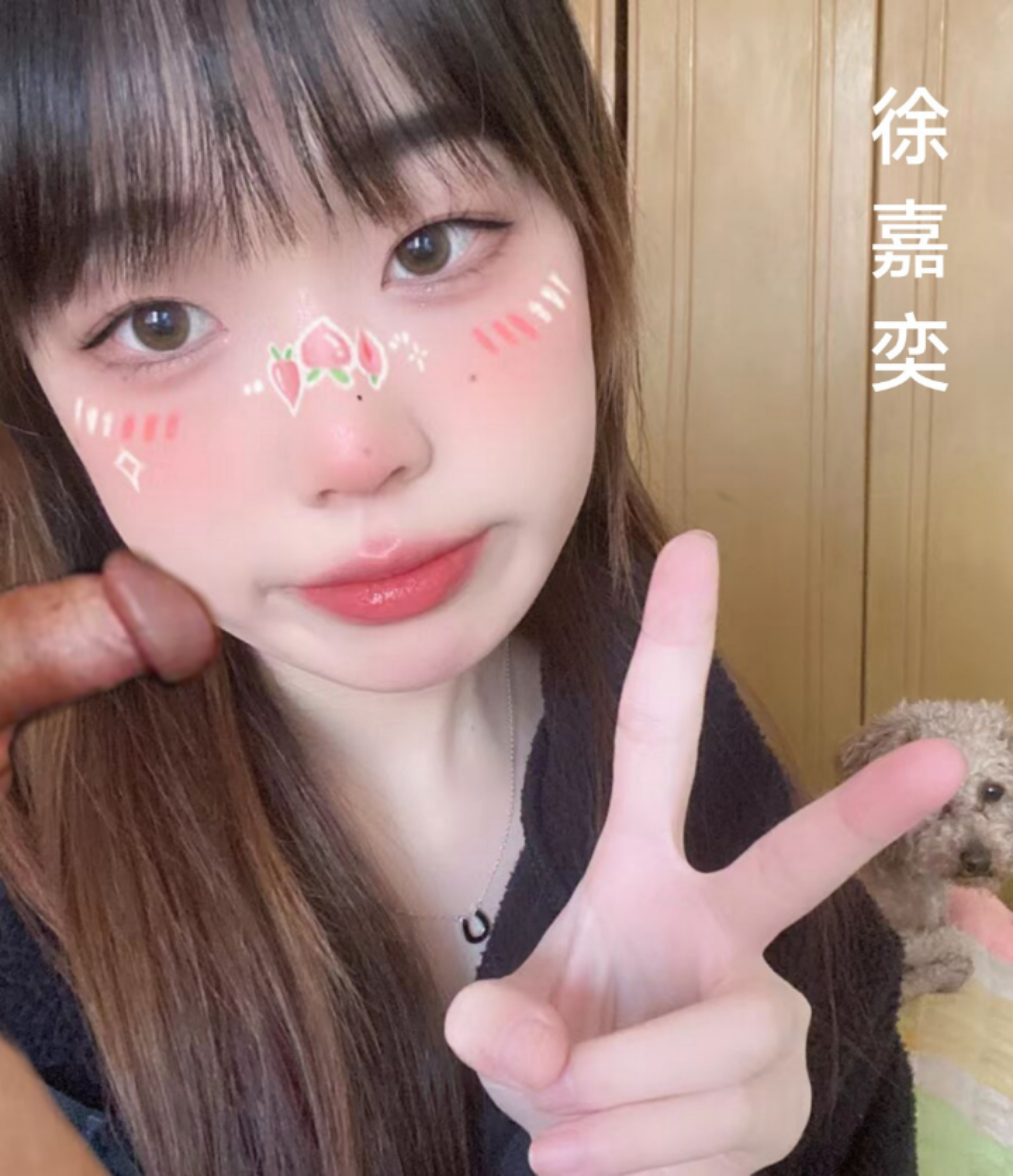 p精颜射 徐嘉奕