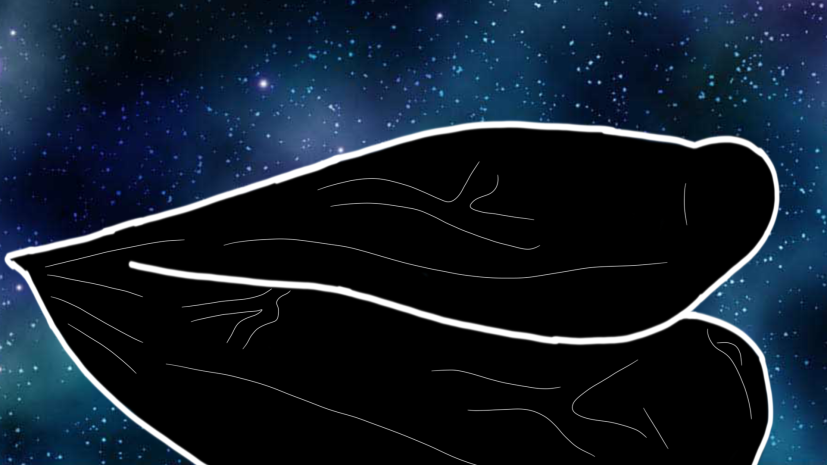 [Part 5] artist - Austin the shork