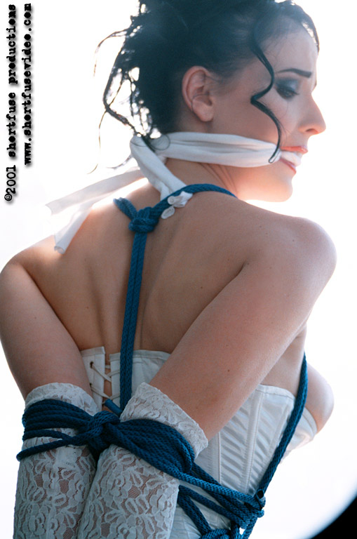 magnificent bondage 245