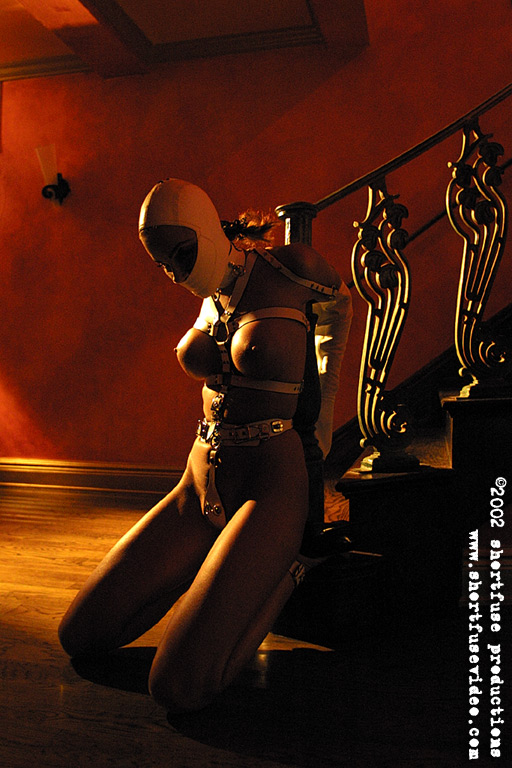 magnificent bondage 295