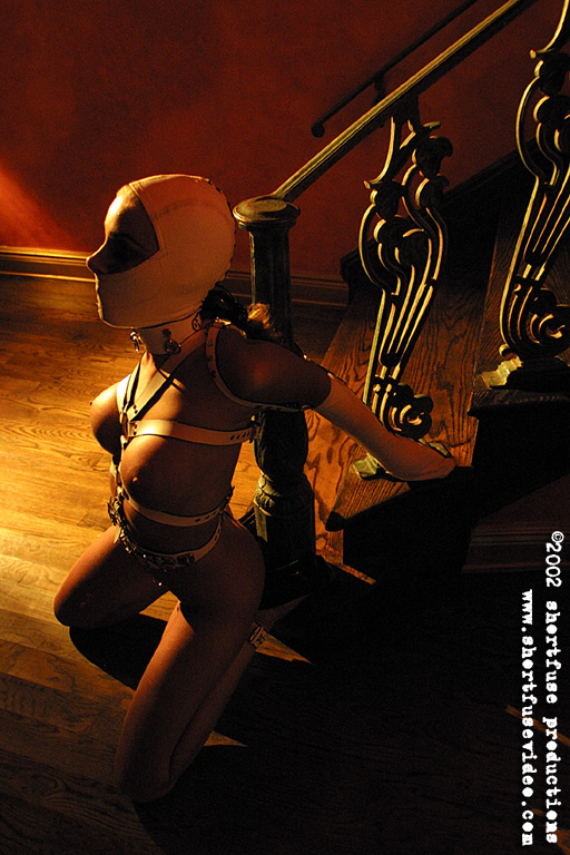 magnificent bondage 295