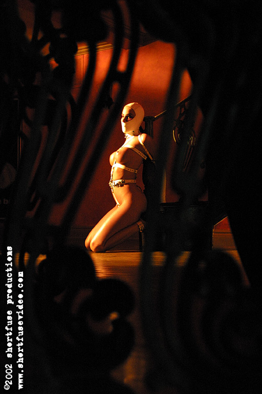 magnificent bondage 295