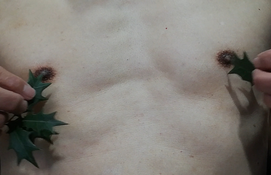 Holly thorns stimulate nipples and penis