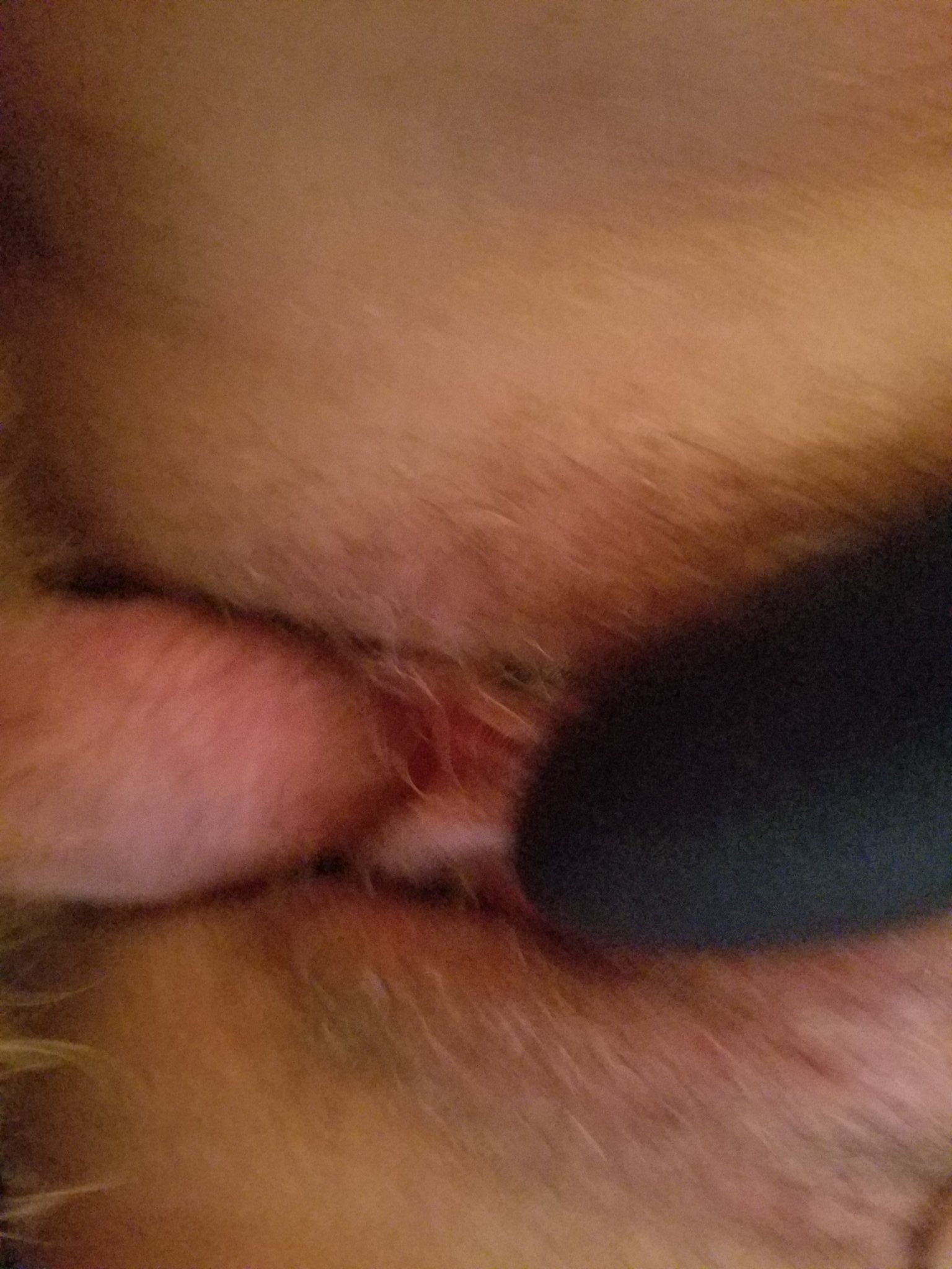 Aaron and Anna from Georgia web slut couple