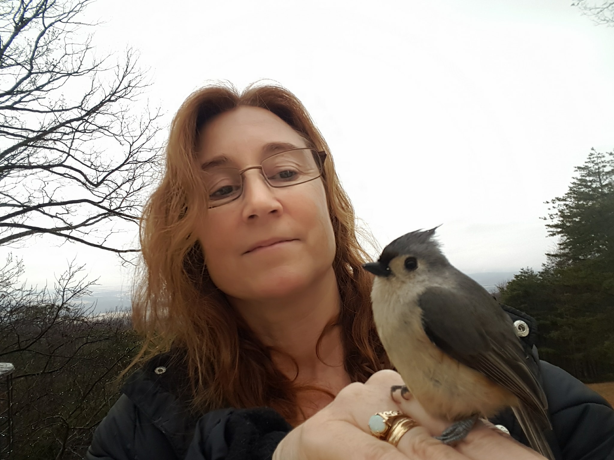 Lara Ellis from Luray, Virginia