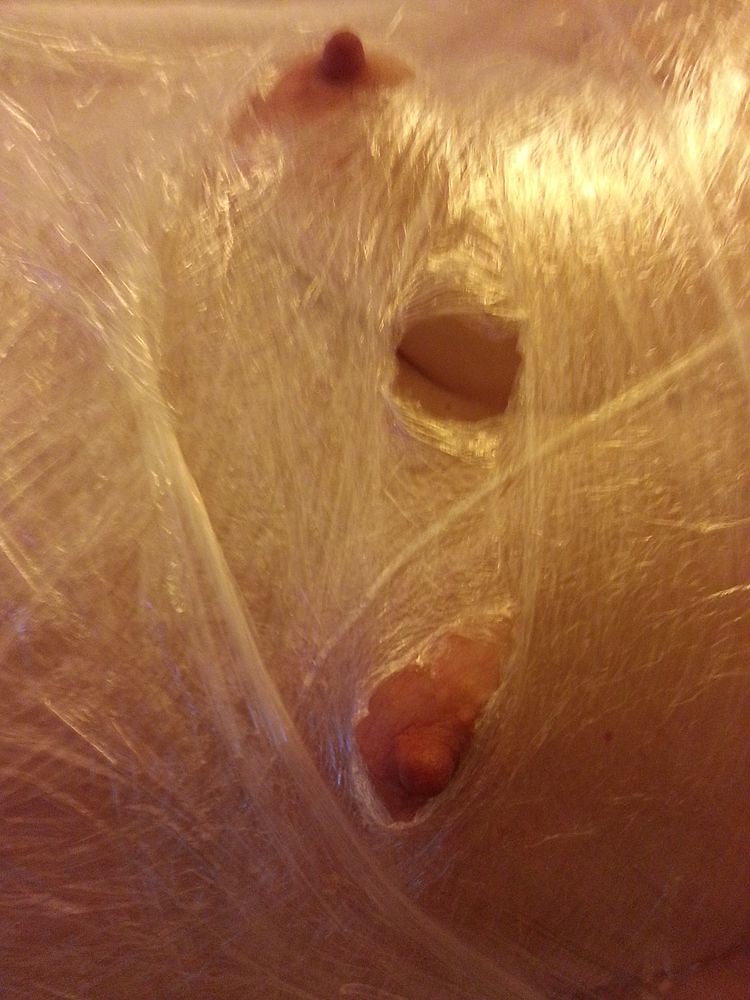 Keith&Julie from Washington State