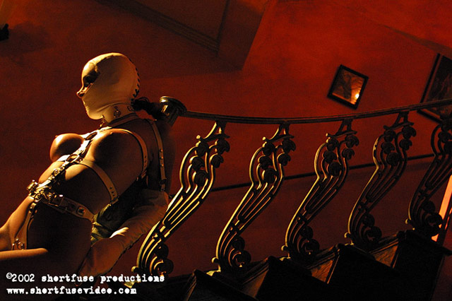 magnificent bondage 515