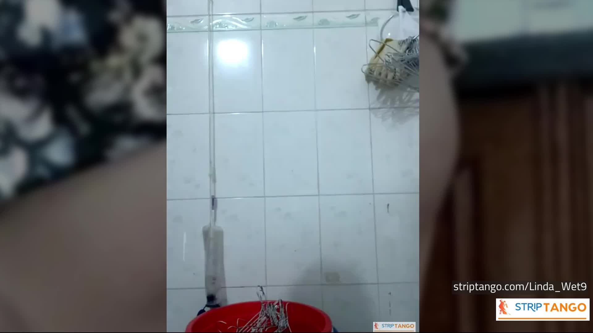 300 Pics of Big Ass, Big Tits & Hairy Pussy Striptango Camgi