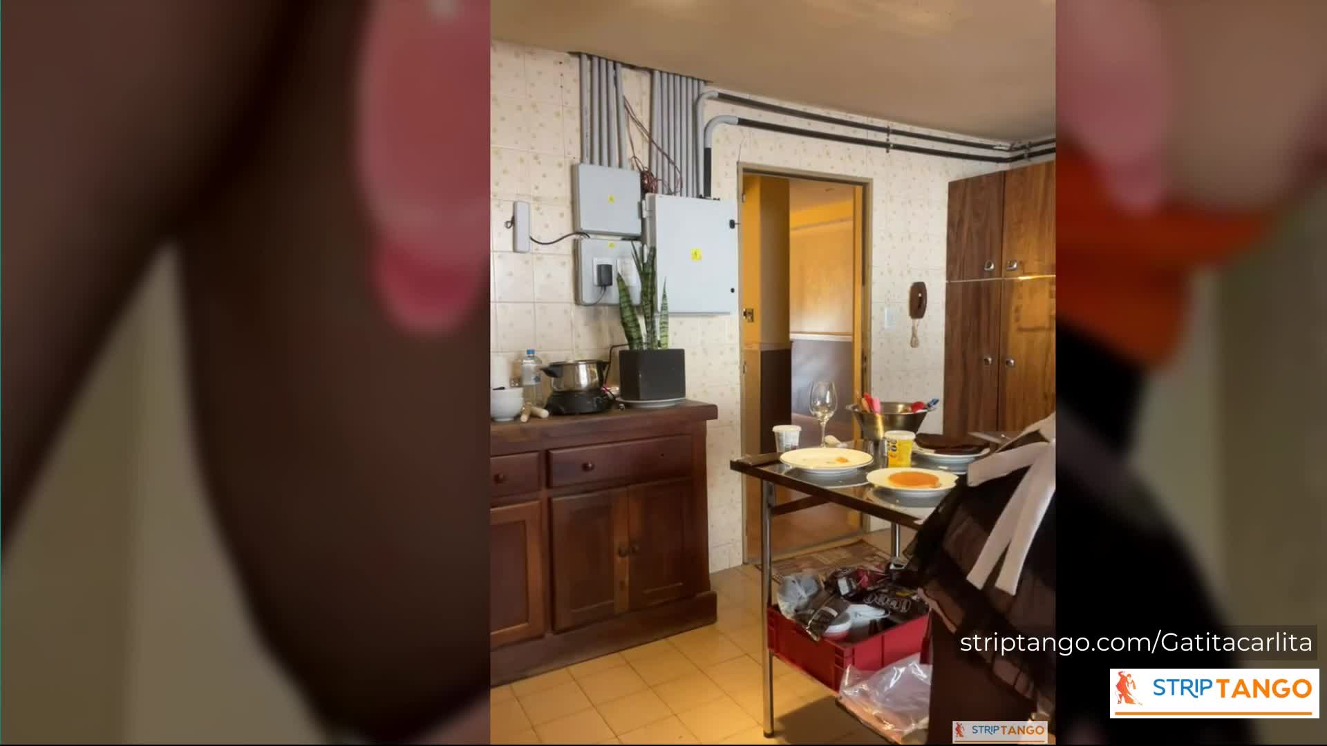 300 Pics of Big Ass, Big Tits & Hairy Pussy Striptango Camgi