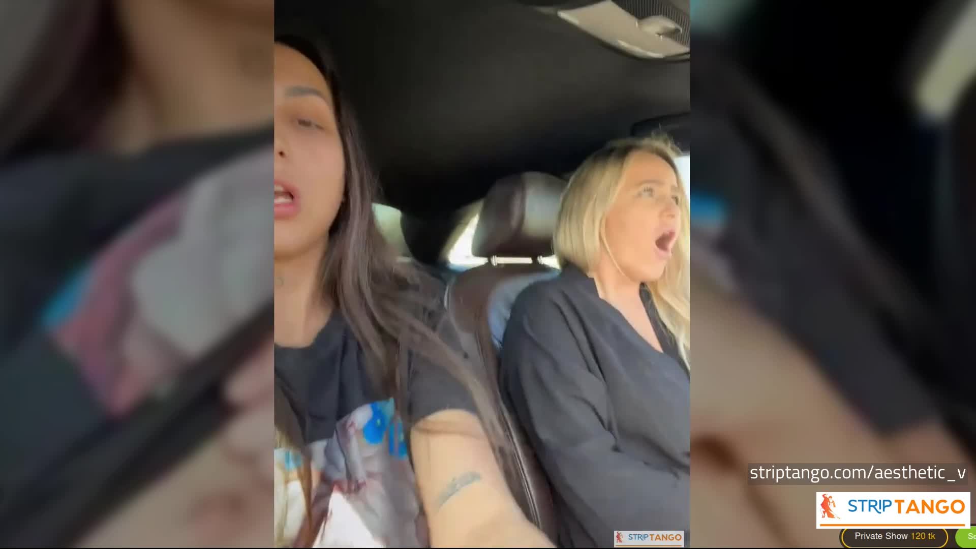 DirtyPub - Closeup Fingering Hairy Pussies, Toe Sucking, and