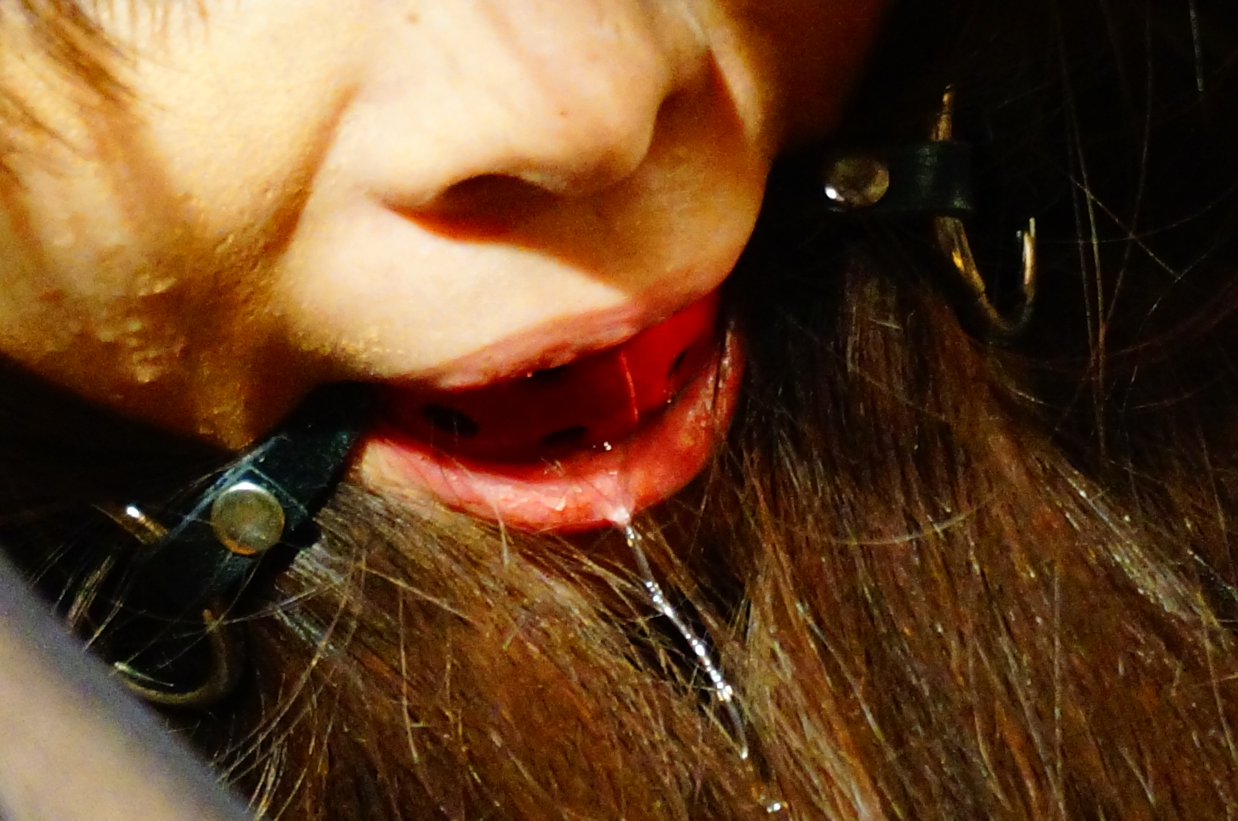 Training Chinese Bitch 4-3