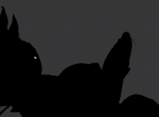 [part 143] smiler - compilation