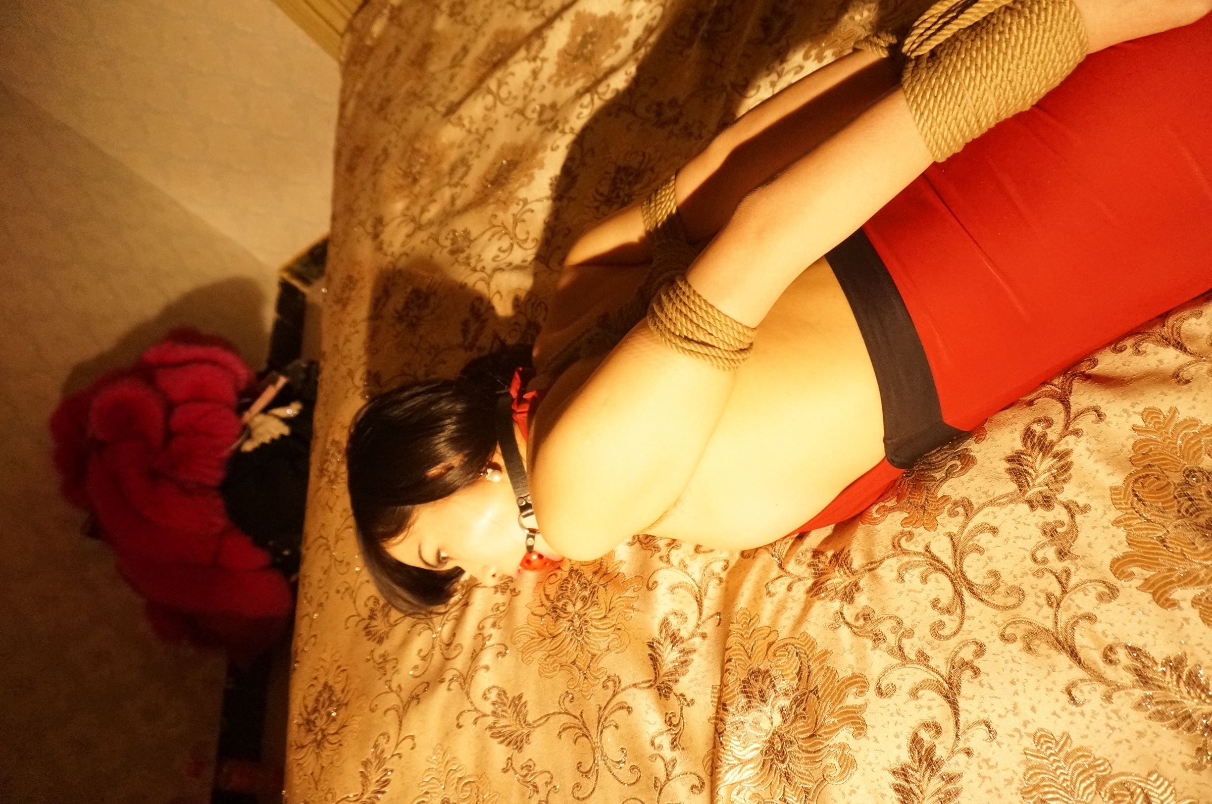 Training Chinese Bitch 6-2