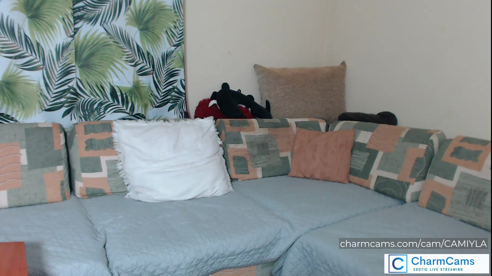 CharmCams Stars Get Dirty – Tits Out, Dildos In, and Nonstop