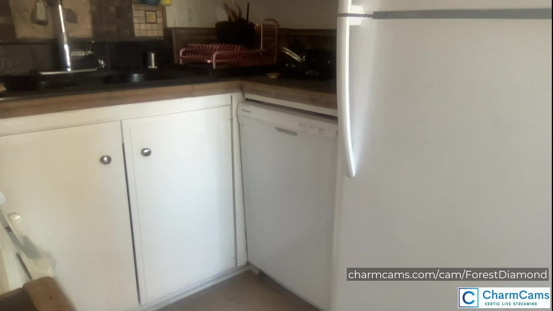 CharmCams Stars Get Dirty – Tits Out, Dildos In, and Nonstop