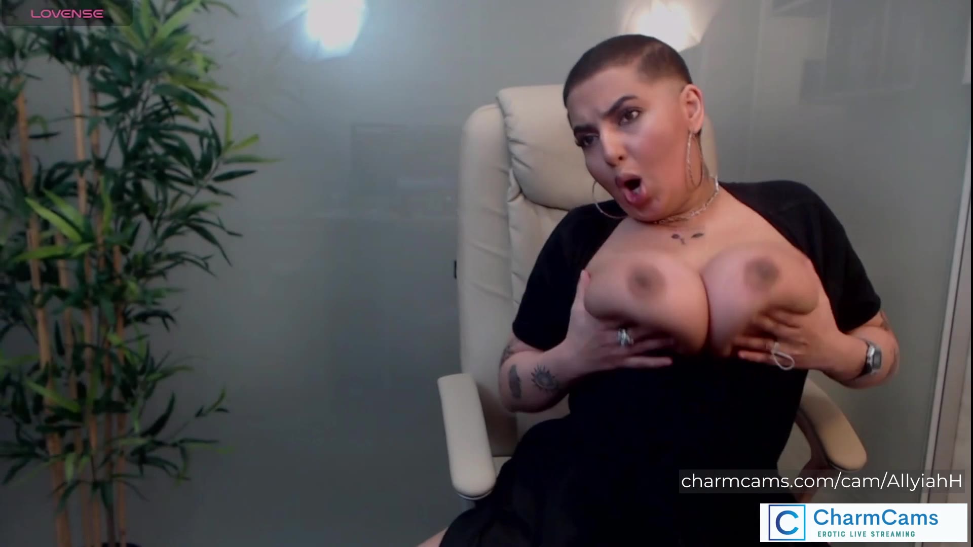 CharmCams Stars Get Dirty – Tits Out, Dildos In, and Nonstop