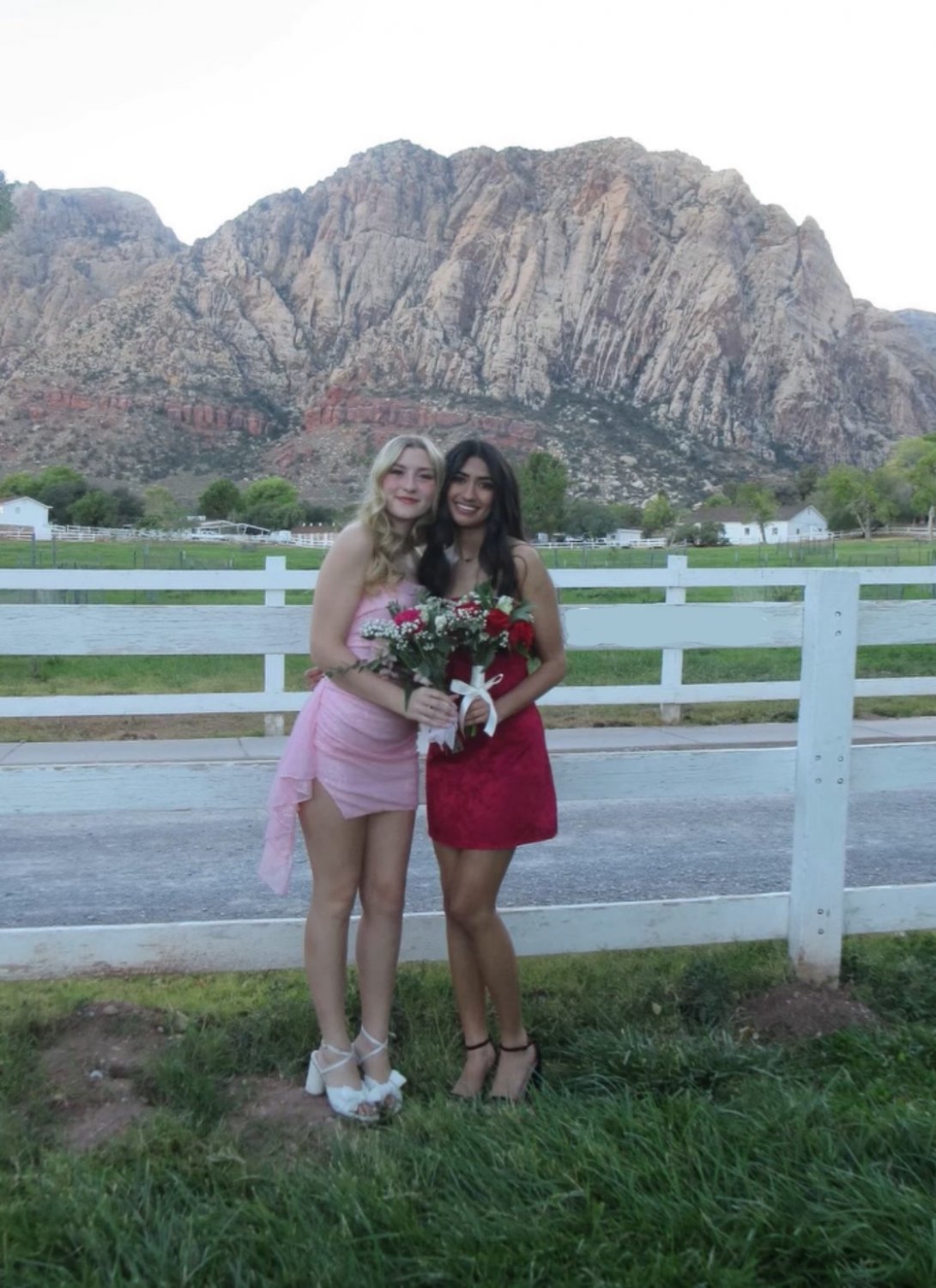 Beautiful NRI Girl Hot Boobs Sexy Shaved Pink Pussy Fucked